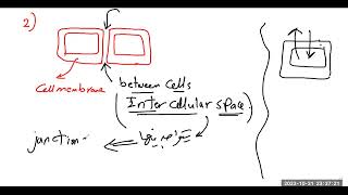 الوصلات بين الخلايا Intercellular junctions [upl. by Schaaff]