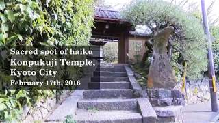 Sacred spot of haiku Konpukuji Temple Kyoto City [upl. by Keane]