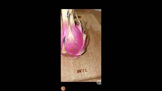 Lets go peel and cut famous dragon fruit ASMR [upl. by Haswell]