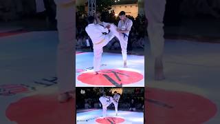 Artofight Punch Kick Attack Kumite Karate artofight fypage KO Kyokushin Fighters shots [upl. by Ajim]