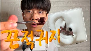 끈적한 귀지파기 귀청소ASMR  마루 [upl. by Reta]