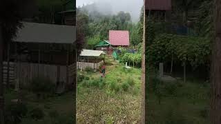 Mountain village at Mirik By Nabanita shorts [upl. by Gaultiero103]