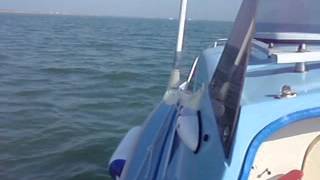 fishing on our microplus in the solent [upl. by Attennaj782]