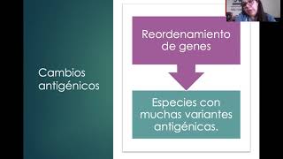 MECANISMOS DE DEFENSA BACTERIANA [upl. by Novek]