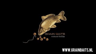 Grain Baits quotIn the kitchen  Grain Baitsquot [upl. by Eiknarf]