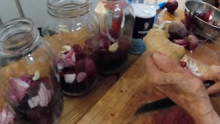 Aleens Method for Making Beet Kvass [upl. by Reifinnej]