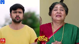 Gowramma Serial Promo  9th July 2021  Gowramma Telugu Serial  Mallemalatv [upl. by Ozneral]