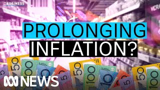 Why the government subsidies are making it harder for the RBA to lower inflation  The Business [upl. by Nnylharas513]