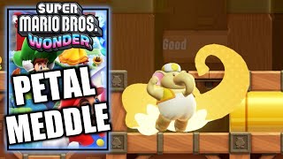 Super Mario Bros Wonder  KO Arena Petal Meddle  100 All Wonder Seeds Flower Coins amp Flag [upl. by Aretse]