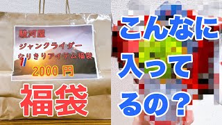 ライダーDX玩具入り【駿河屋 2000円福袋】買ったら中身が大変なことになってたー！2022年 ジャンクライダーなりきりアイテム福袋 [upl. by Anisamot]