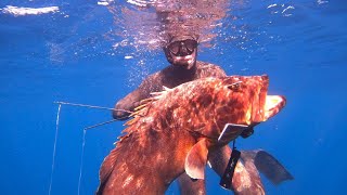 Croatia spearfishing holiday 2024 [upl. by Dukie]