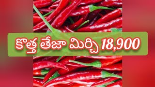 Guntur mirchi market rate today  23102024 [upl. by Sathrum]