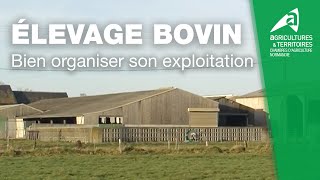 Élevage bovin  Une exploitation bien organisée  GAEC NouryRyes 14 [upl. by Resee]