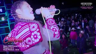 ►CELINDA ALMANACIN ►Perdóname Por Favor  Willy Producciones 2018 [upl. by Stafani]