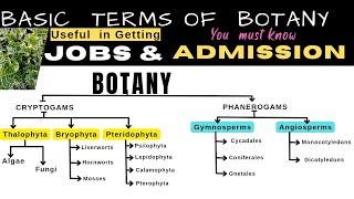 Botany Basic Terms asked in Job and Admission Interviews  Info Biodiversity [upl. by Nicholl]