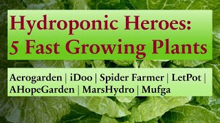 Top 5 Fast Growing Plants to Grow in Aerogarden  Hydroponics  Tips  Germination  Nutrients [upl. by Ellehcan733]