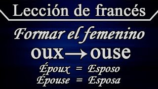 Aprender francés  Lección 8  Formar el femenino de los sustantivos [upl. by Bogey540]