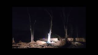 Tannerite vs Huge Hackberry tree Tree still stands after 1lb Boom [upl. by Weisberg]