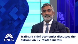 Trafigura chief economist discusses the outlook on EVrelated metals [upl. by Mahseh]