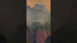 Quran Majeed islamic status ytshorts [upl. by Solraced189]