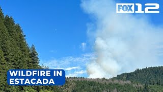 Wildfire burning 20 acres near Estacada Level 1 ‘Be Ready’ order in effect [upl. by Suirrad]