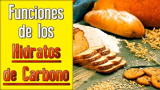 Funciones de los Carbohidratos [upl. by Delamare]