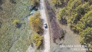 Aerial ChinaSaihanba National Forest Park Aerial Video Chengde Hebei China [upl. by Yruj877]