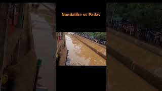 Baradi kambala  Nandalike vs Padav  Rajekutti vs Dujehermunde [upl. by Einaled331]