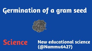 Germination of gram seed and their different partsNammu6427New educational science full video [upl. by Esirehc550]