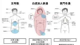 漢方薬の構成生薬 昭和大学 医学部生理学講座生体制御学部門 砂川正隆教授 [upl. by Strephon]