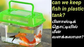 நாம் மீனை பிளாஸ்டிக்கில் வைக்கலாமா  Can we keep fish in plastic container   Fish Aquarium Tamil [upl. by Frieda]