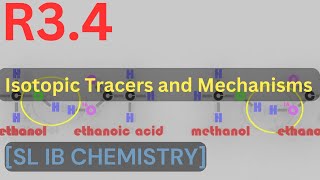 R34 Isotopic Tracers and Reaction Mechanisms HL IB CHEMISTRY [upl. by Kelda]