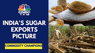 India Has Room To Export 2 MT Of Sugar In FY25 Dhampur Bio Organics  CNBC TV18 [upl. by Ranger101]