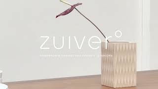 Zuiver drop 3 video [upl. by Eineg]