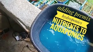 Adding hydroponics nutrient solution to aquaponics  Selected Solutions [upl. by Devinne]