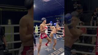 🥊🥊🥊Jab straight two punches and roundhouse kick knockoutboxingmmaufckarateteakwandokungfu🥊 [upl. by Yuille]