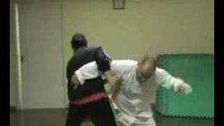 Fu Zhensong longxing baguazhang combat applications [upl. by Odnomar]