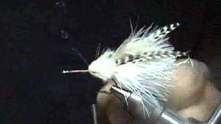 Tying the Tasty Toad Bonefish fly [upl. by Lauren]