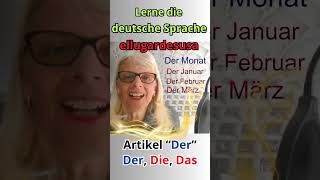 Ein Beispiel für den Artikel quotDerquot lerngerman lerndeutsch germanbeginners germanconversation [upl. by Assital138]