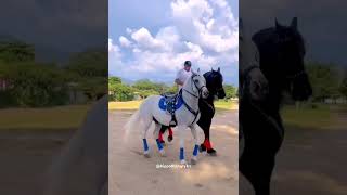 Hippotherapy Иппотерапия hippotherapy horseriding horsevideo horseride sporthorses [upl. by Aelahs]