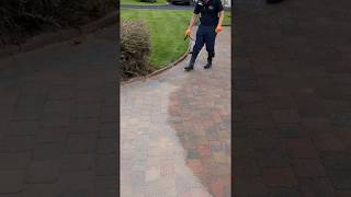 Softwash block paving after cleaning [upl. by Dadirac]