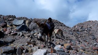 El nuevo hielero del Chimborazo es El Yerno de BaltazarUshca [upl. by Oralie]