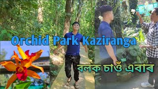 Orchid Park Kaziranga [upl. by Maibach51]