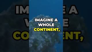 Zealandia quota submerged continent under the water🌊quotshorts hidden youtubeshorts facts history [upl. by Anole]