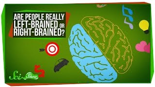 Are People Really LeftBrained or RightBrained [upl. by Anerec]