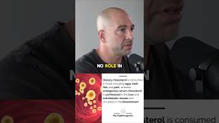 The truth about Dietary Cholesterol  Dr Peter Attia [upl. by Ennaitsirhc]