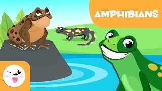 Amphibians for kids  Vertebrate animals  Natural Science For Kids [upl. by Daveda]