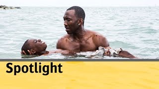 The Cinematography of Barry Jenkins with James Laxton  Spotlight [upl. by Ube]