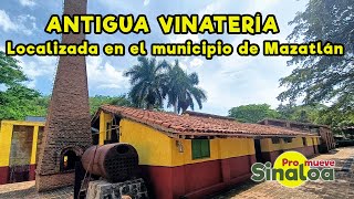 Visita a una vinatería artesanal localizada al norte del municipio de Mazatlán [upl. by Ojyram]