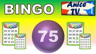 BINGO Blast 75 Ball Caller [upl. by Eniamaj270]